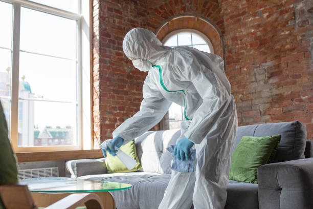 Reliable Woodfin, NC Mold Removal & Remediation Solutions